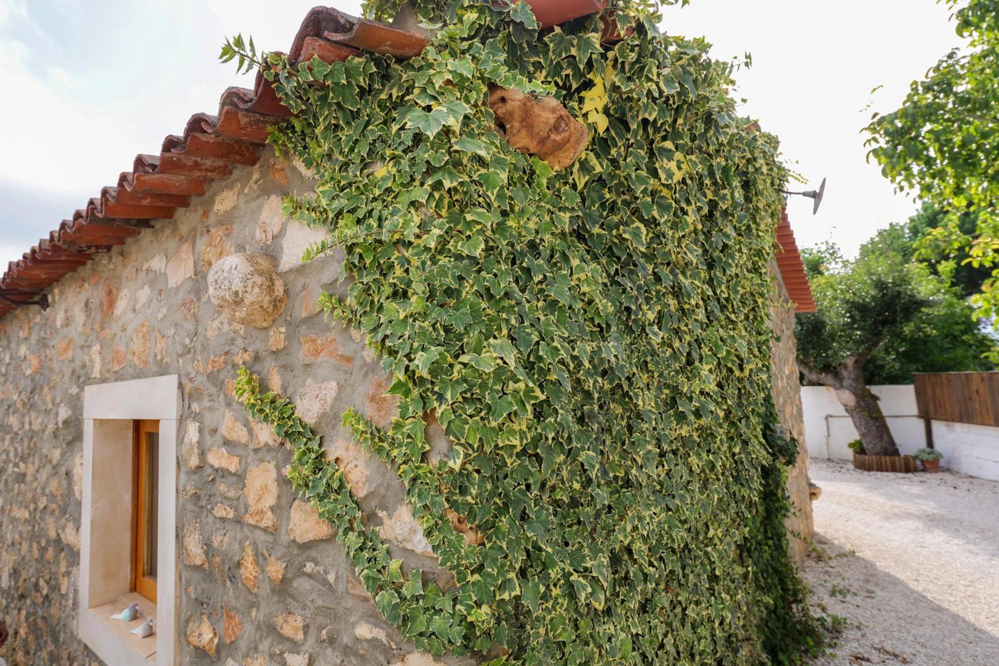 הוילה Porto de Mós Renovated Wine Press House - With Pool מראה חיצוני תמונה